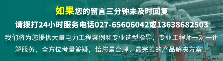 CYRW-2690A 水內(nèi)冷發(fā)電機(jī)絕緣特性測試儀